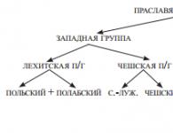 Современные славянские языки